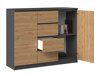 Commode Elbvelu 113 (Anthracite + Chêne Artisan)