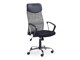 Chaise de bureau Mandeville 227 (Gris)