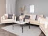 Fauteuil Dallas 100 (Lichtbruin + Bruin)