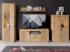TV-alus Romdori 101