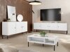 Meuble TV Celra I (Blanc)