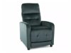 Relaxfauteuil Detroit 188 (Bluvel 78)