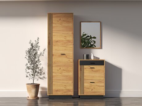 Entrésæt Revcire 110