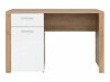 Bureau Sonali 100