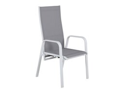 Lauko kėdė Dallas 2776 (Balta + Pilka)