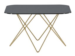 Salontafel Dallas 1723 (Zwart + Messing)