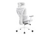 Chaise de bureau Lodi 104 (Blanc + Gris)