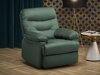 Relaxfauteuil Houston Terra (Groen)