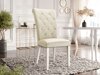 Stoel Jackson 111 (Magic Velvet 2250)