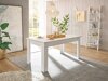 Tafel Toletro 113