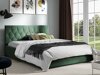 Bed Hortulus I (Mikrofaza 10)