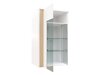 Wandkast Florem (Wit + Glanzend wit)