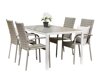 Tafel en stoelen set Dallas 4661