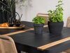 Tafel en stoelen set Dallas 4671