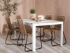 Tafel en stoelen set Dallas 4671