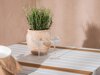 Tafel en stoelen set Dallas 4671