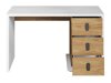 Bureau Tesonu 100