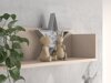Wandplank Tortoli 109
