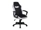 Scaun de birou Detroit 690 (Alb + Negru)