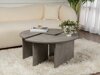 Set de măsuțe de cafea Novato 114 (Beton)