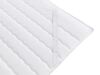 Lit boxspring Color (Coral 45)