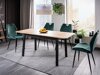 Stoel Detroit 716 (Groen)