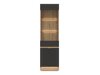 Regal Teselbu 109 (Antracit + Hrast)