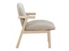 Fauteuil Dallas 4829