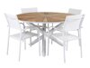 Tafel en stoelen set Dallas 543