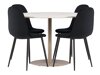 Eetkamerset Dallas 4867