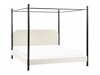 Gulta Berwyn 2734 (Balts)