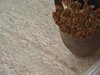 Măsuță de cafea Kailua 2631 (Travertin ușor)