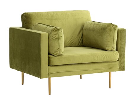 Fauteuil Dallas 100 (Groen + Bruin)