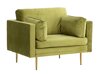 Fauteuil Dallas 100 (Groen + Bruin)