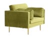 Fauteuil Dallas 100 (Groen + Bruin)