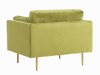 Fauteuil Dallas 100 (Groen + Bruin)
