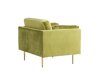 Fauteuil Dallas 100 (Groen + Bruin)