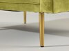 Fauteuil Dallas 100 (Groen + Bruin)