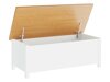Opbergdoos Romelbo 143 (Wit + Eiken)