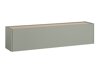 TV-bord Elbsori 108 (Grøn + Egetræ)