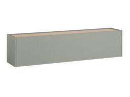 TV-meubel Elbsori 108 (Groen + Eiken)