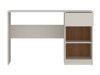 Bureau Ferferu 105