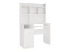 Bureau Mandeville 334 (Links)