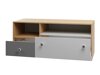 TV-meubel Tesmonu 110