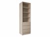 Reol Comfivo Papilio (Beige)