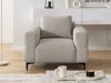 Fauteuil Rocklin 136 (Aragon 20)