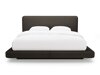 Gulta Beckley 336 (Baloo 2081)
