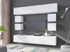 Wandkast Remus II (Wit + Glanzend wit)