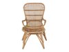 Gartensessel Dallas 5199