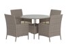 Tafel en stoelen set Dallas 5242